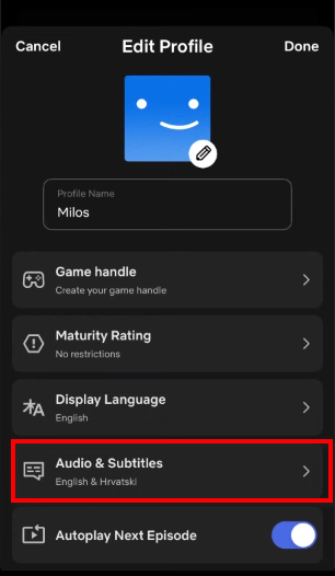 change audio and subtitles language on netflix