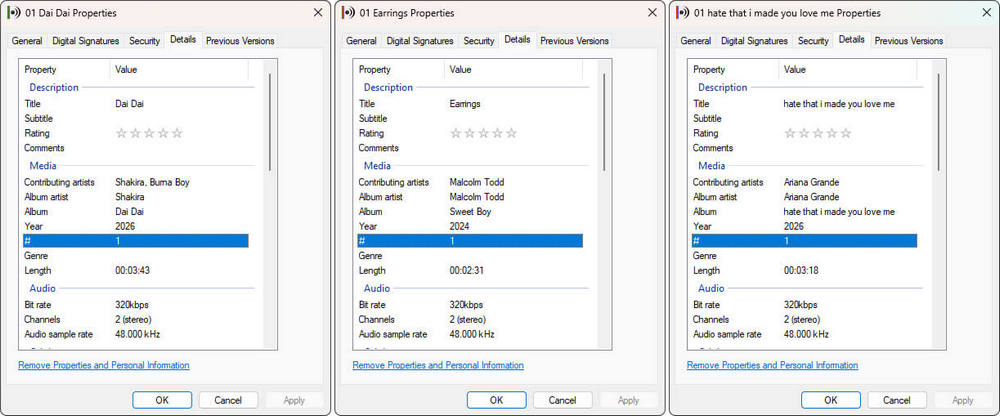 check the details of the downloaded mp3 audio files