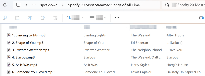 spotidown output folder