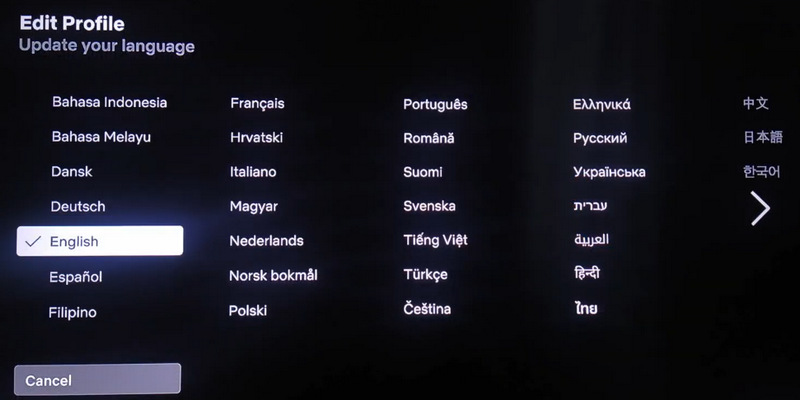 select a new language on netflix tv