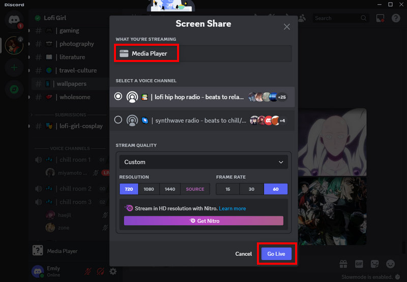 stream netflix on discord by media player