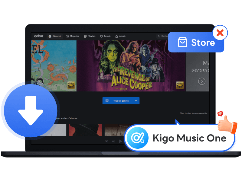reasons to get kigo qobuz music downloader