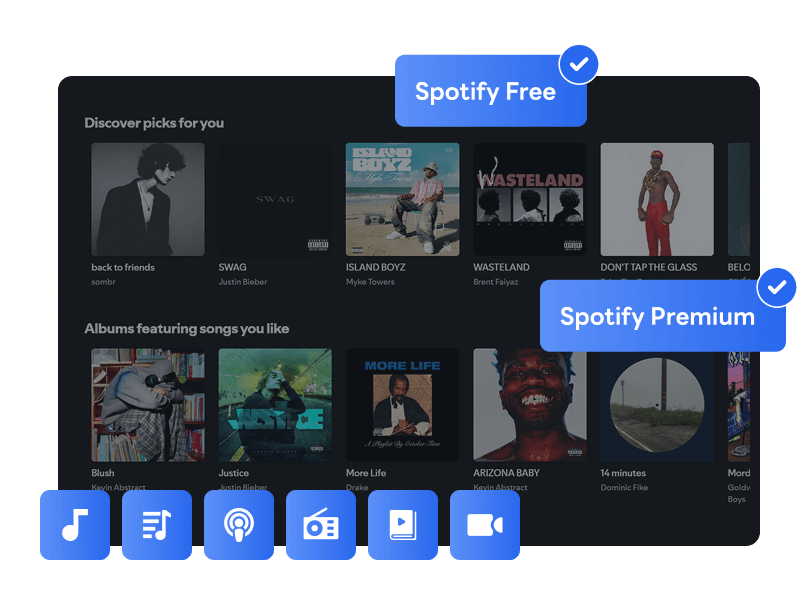 support all types of Spotify content download