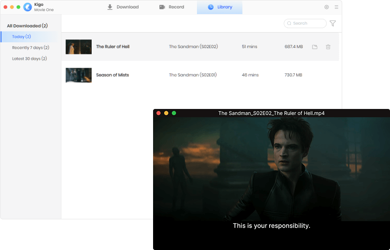 find netflix video on library