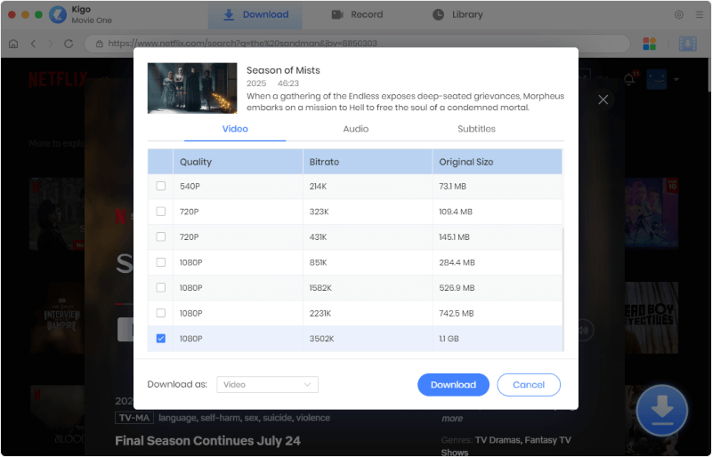 select to download netflix audio and subtitle in multiple languages