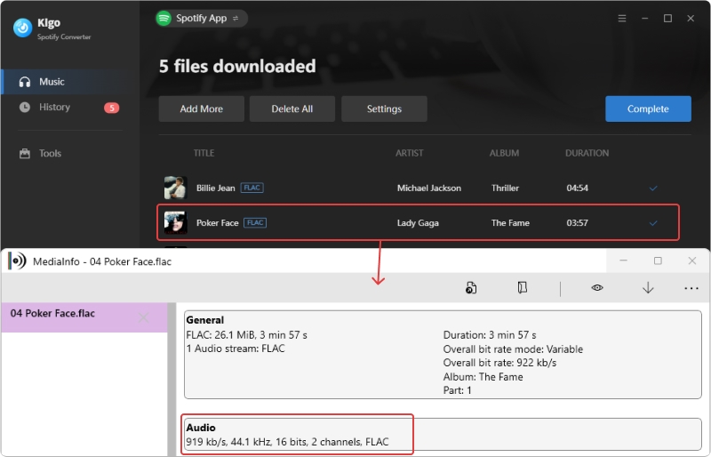 keep spotify lossless music