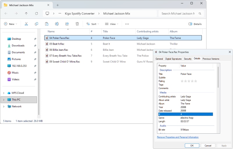 find downloaded spotify lossless music