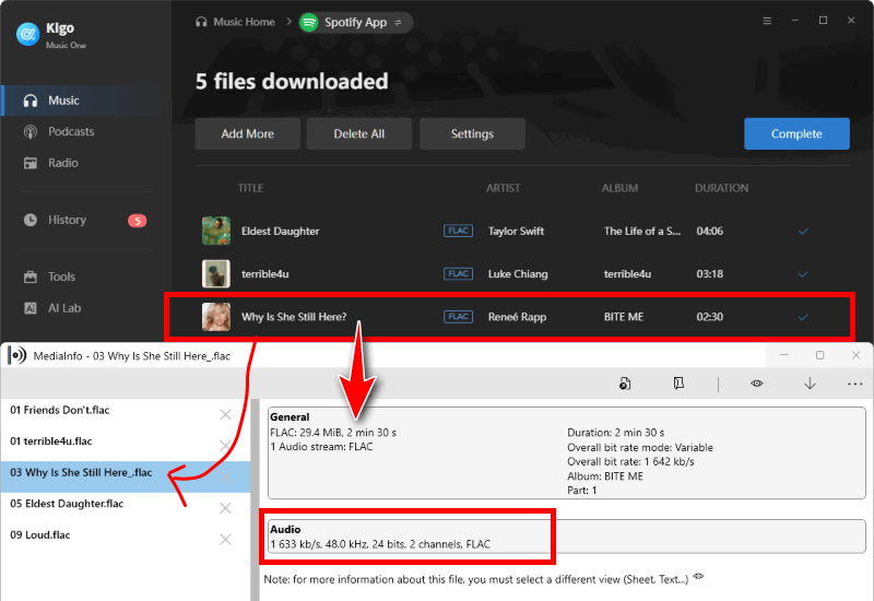 keep spotify lossless music