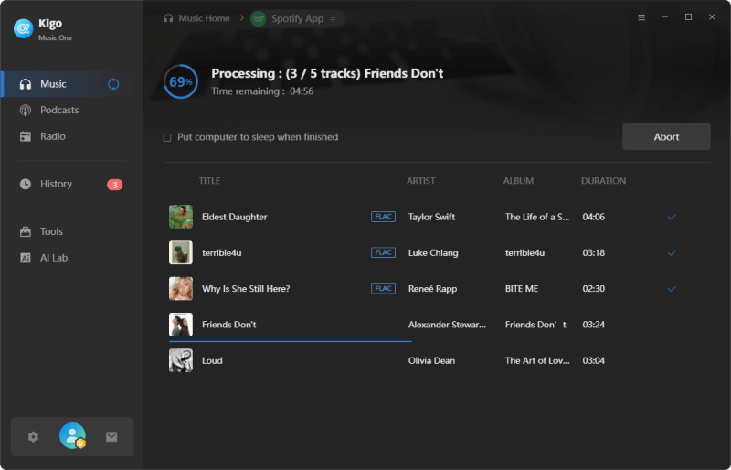 downloading spotify lossless music